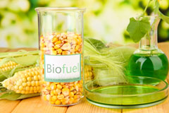 Shaftesbury biofuel availability